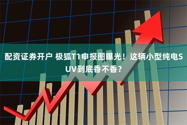 配资证券开户 极狐T1申报图曝光！这辆小型纯电SUV到底香不香？