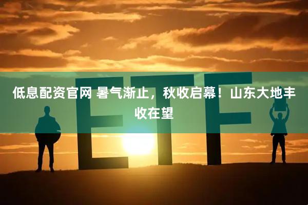 低息配资官网 暑气渐止，秋收启幕！山东大地丰收在望